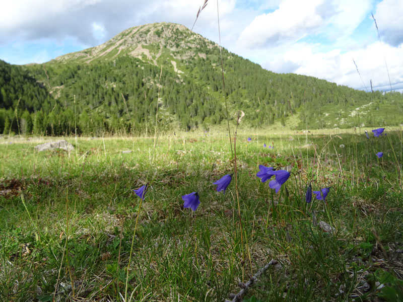Catena dei Lagorai...da Pergine al Passo del Manghen